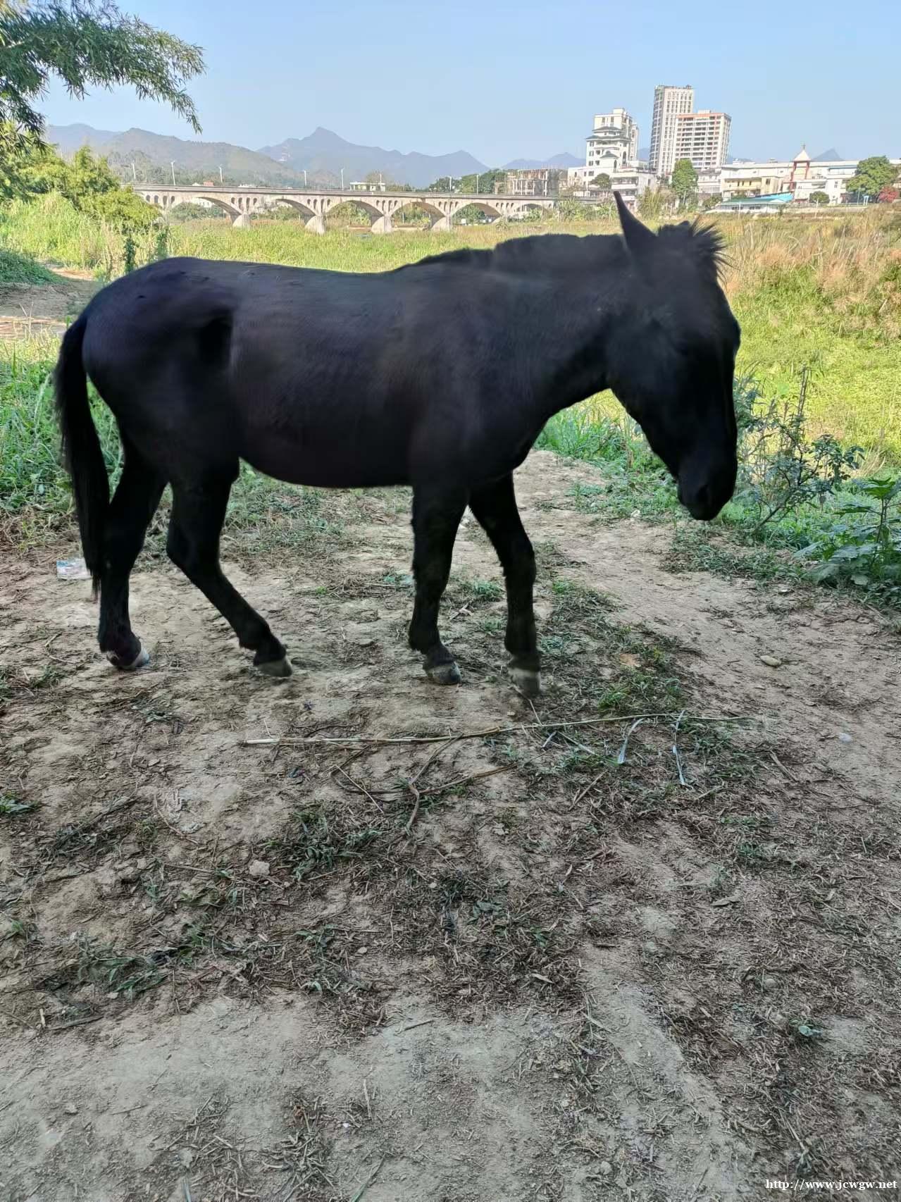 /attachment/editor/20250527/1748330230okv3v.jpg /attachment/editor/20250527/1748330230okv3v.jpg